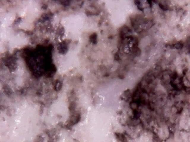 พระสมเด็จ วัดระฆัง พิมพ์ปกโพธิ์ เนื้อหากายภาพชัดเจน พบน้อยมาก 08066401PT-SD