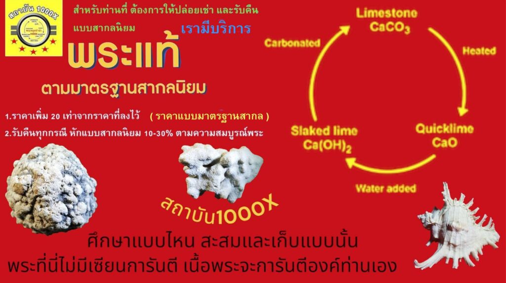 วงจรการเปลี่ยนแปลงทางกายภาพ CaCo2
