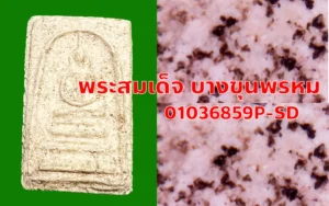01036859P-SD